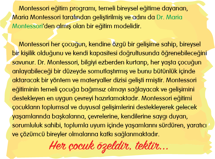 neden-montessori-egitimi-dt